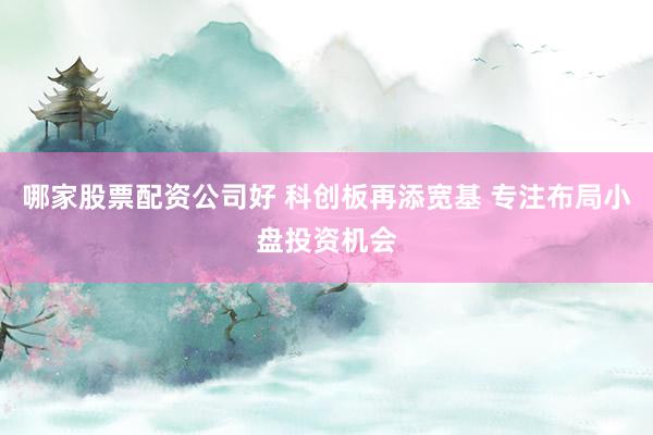 哪家股票配资公司好 科创板再添宽基 专注布局小盘投资机会