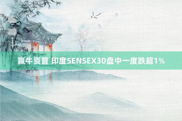 赢牛资管 印度SENSEX30盘中一度跌超1%
