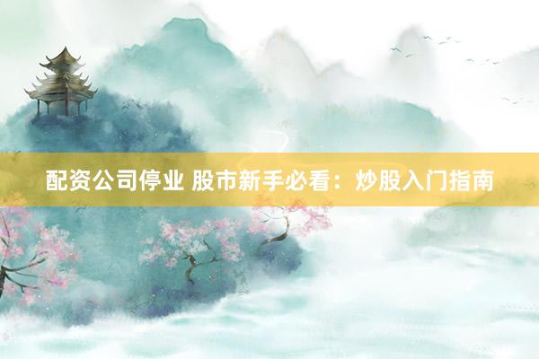 配资公司停业 股市新手必看：炒股入门指南
