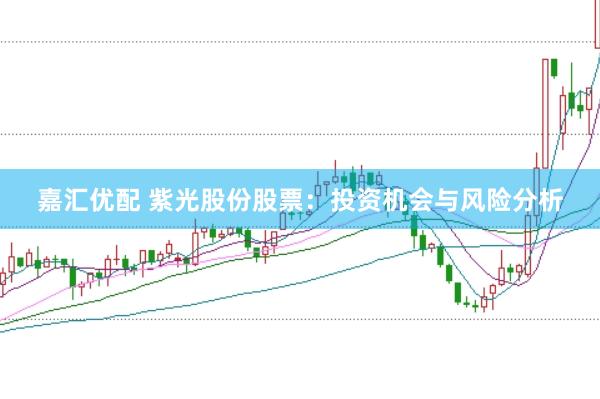 嘉汇优配 紫光股份股票：投资机会与风险分析