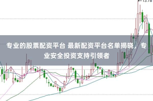 专业的股票配资平台 最新配资平台名单揭晓，专业安全投资支持引领者