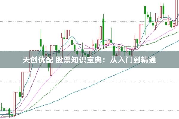 天创优配 股票知识宝典：从入门到精通