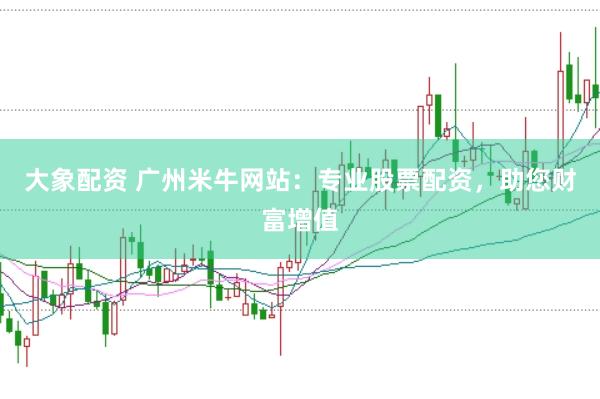 大象配资 广州米牛网站：专业股票配资，助您财富增值