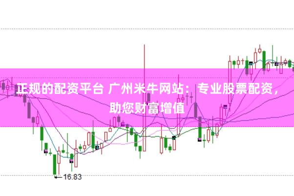正规的配资平台 广州米牛网站：专业股票配资，助您财富增值