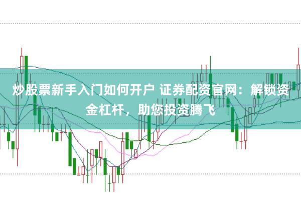 炒股票新手入门如何开户 证券配资官网：解锁资金杠杆，助您投资腾飞