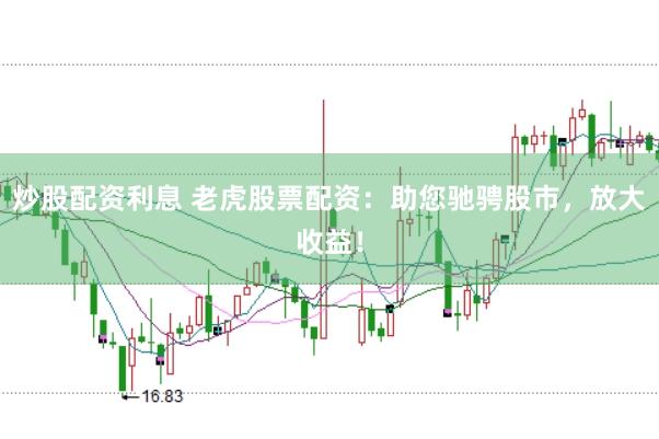 炒股配资利息 老虎股票配资：助您驰骋股市，放大收益！