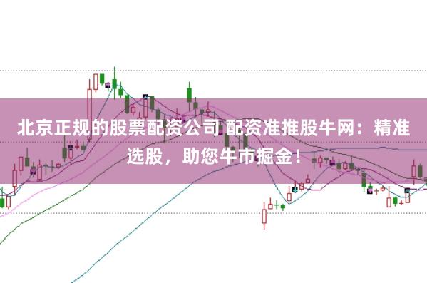 北京正规的股票配资公司 配资准推股牛网：精准选股，助您牛市掘金！