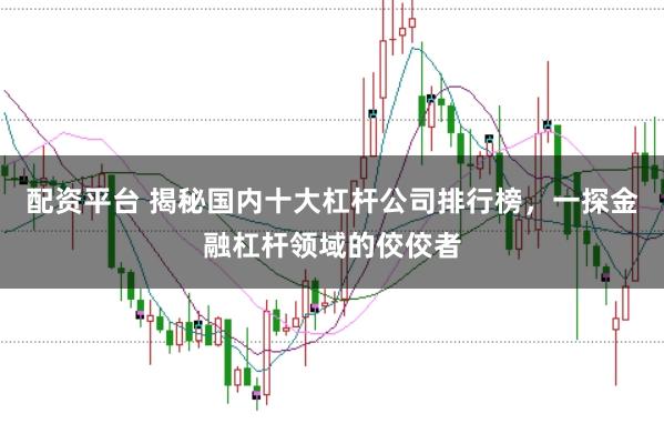 配资平台 揭秘国内十大杠杆公司排行榜，一探金融杠杆领域的佼佼者