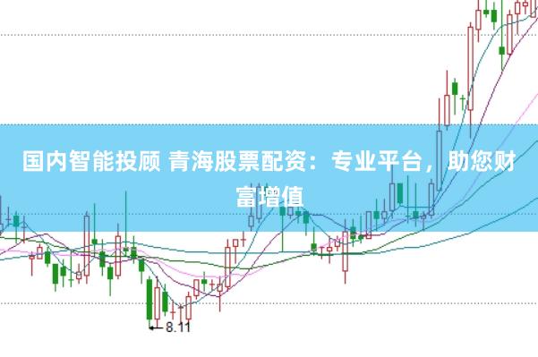 国内智能投顾 青海股票配资：专业平台，助您财富增值
