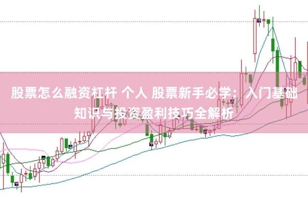 股票怎么融资杠杆 个人 股票新手必学：入门基础知识与投资盈利技巧全解析