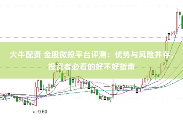 大牛配资 金股微投平台评测：优势与风险并存，投资者必看的好不好指南