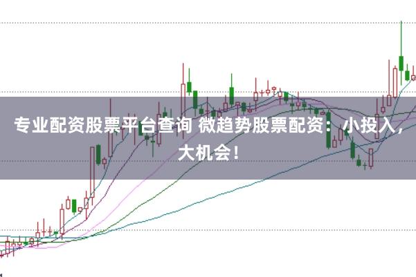 专业配资股票平台查询 微趋势股票配资：小投入，大机会！