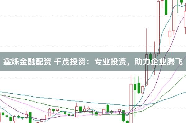 鑫烁金融配资 千茂投资：专业投资，助力企业腾飞