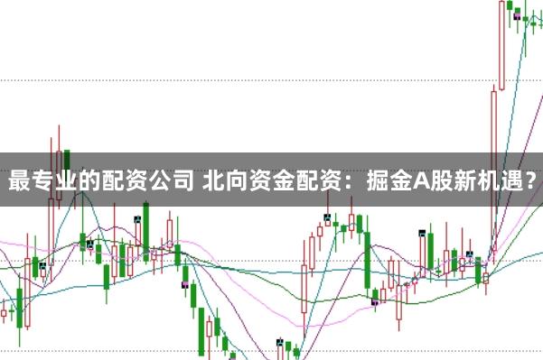最专业的配资公司 北向资金配资：掘金A股新机遇？