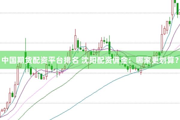 中国期货配资平台排名 沈阳配资佣金：哪家更划算？