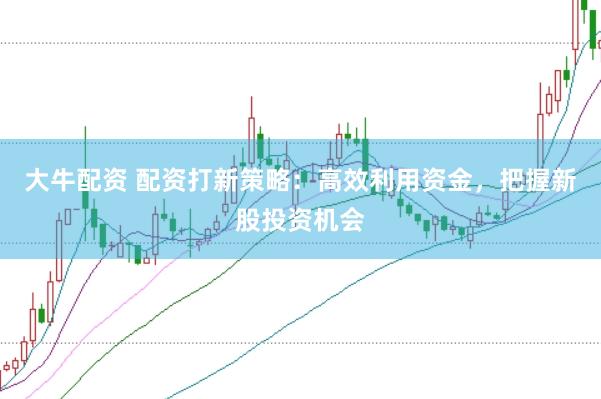 大牛配资 配资打新策略：高效利用资金，把握新股投资机会