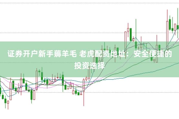 证券开户新手薅羊毛 老虎配资地址：安全便捷的投资选择