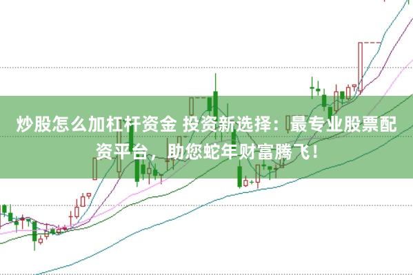 炒股怎么加杠杆资金 投资新选择：最专业股票配资平台，助您蛇年财富腾飞！