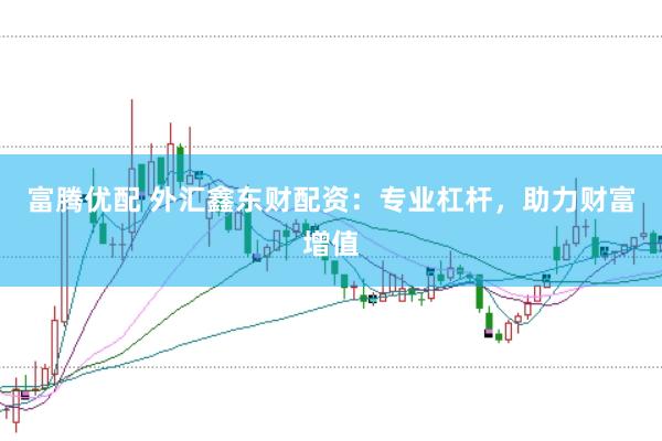 富腾优配 外汇鑫东财配资：专业杠杆，助力财富增值