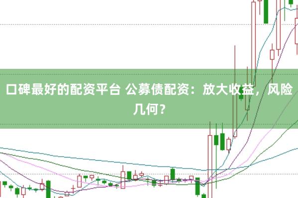 口碑最好的配资平台 公募债配资：放大收益，风险几何？