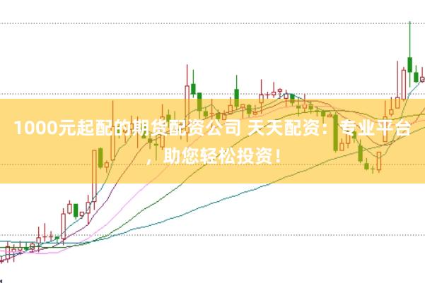 1000元起配的期货配资公司 天天配资:专业平台,助您轻松投资!