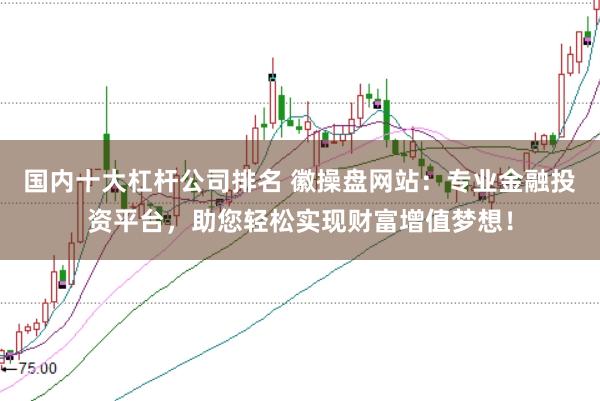 国内十大杠杆公司排名 徽操盘网站：专业金融投资平台，助您轻松实现财富增值梦想！