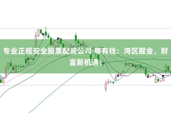 专业正规安全股票配资公司 粤有钱:湾区掘金,财富新机遇!