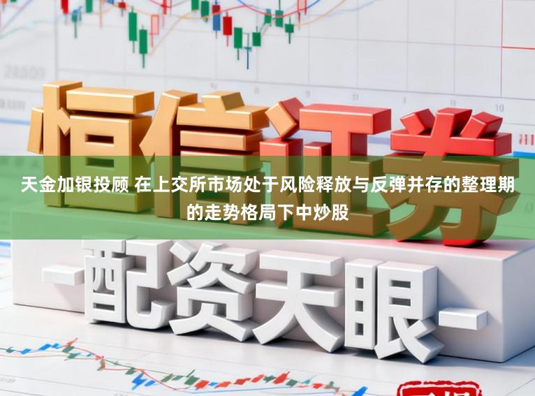 天金加银投顾 在上交所市场处于风险释放与反弹并存的整理期的走势格局下中炒股