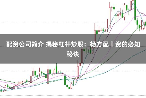 配资公司简介 揭秘杠杆炒股：杨方配丨资的必知秘诀